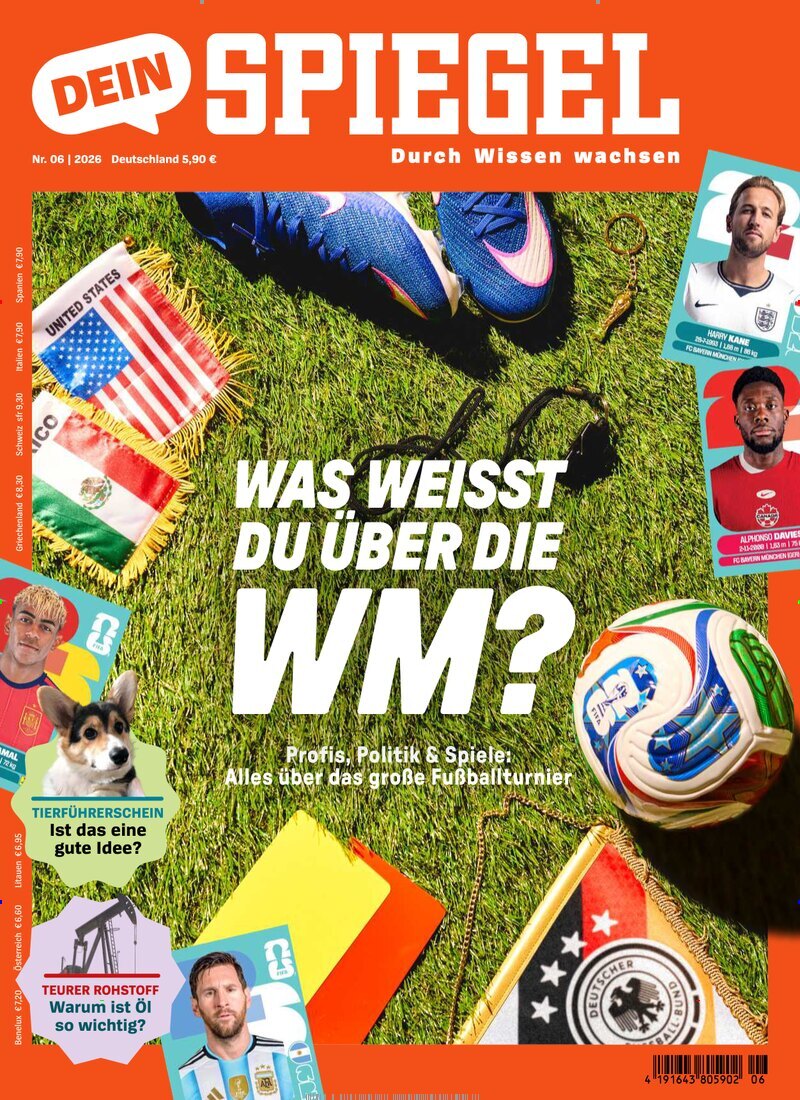 Dein Spiegel
