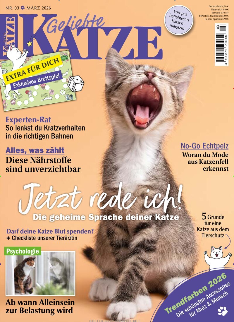 Geliebte Katze