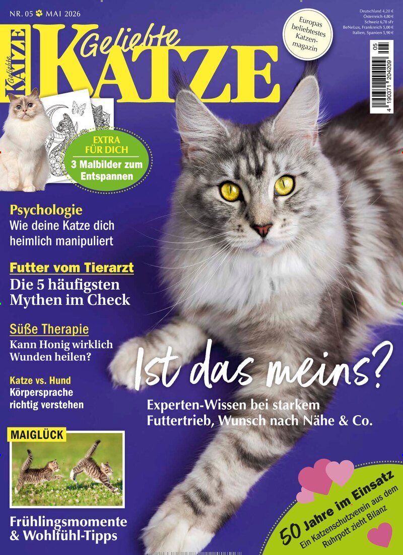 Geliebte Katze