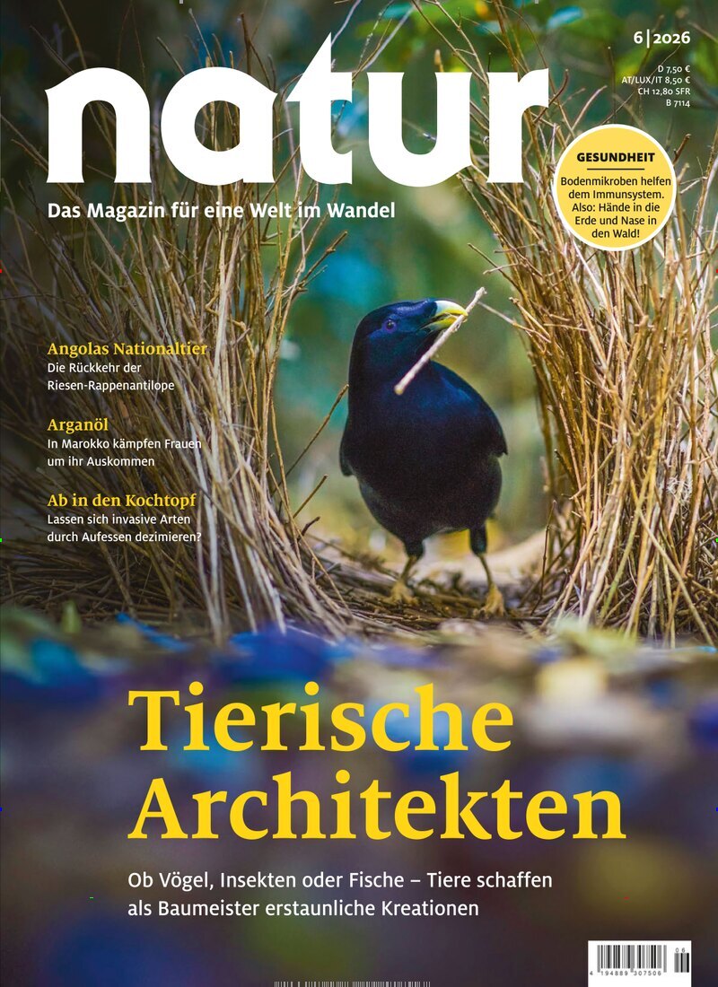 Natur