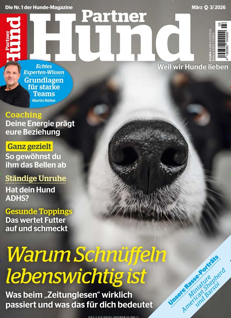 Partner Hund