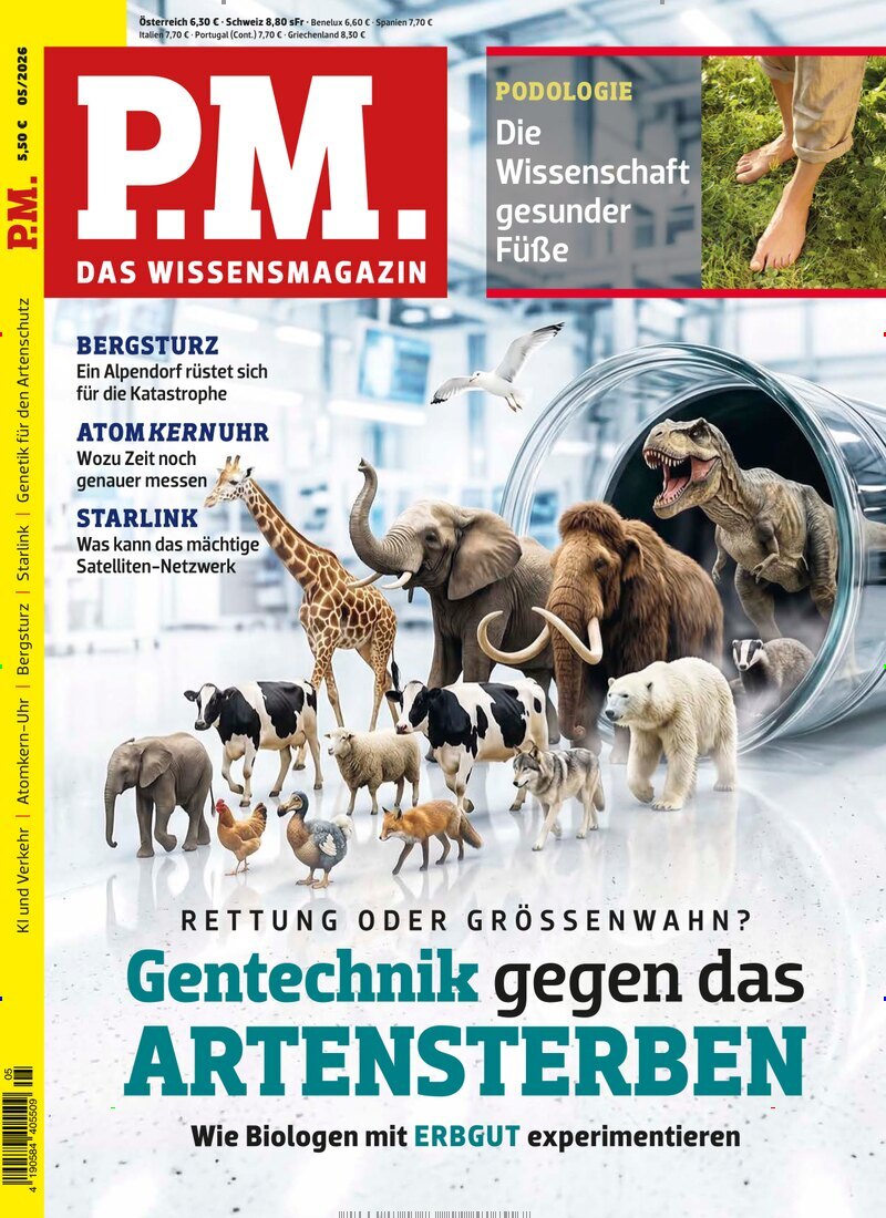 PM Magazin