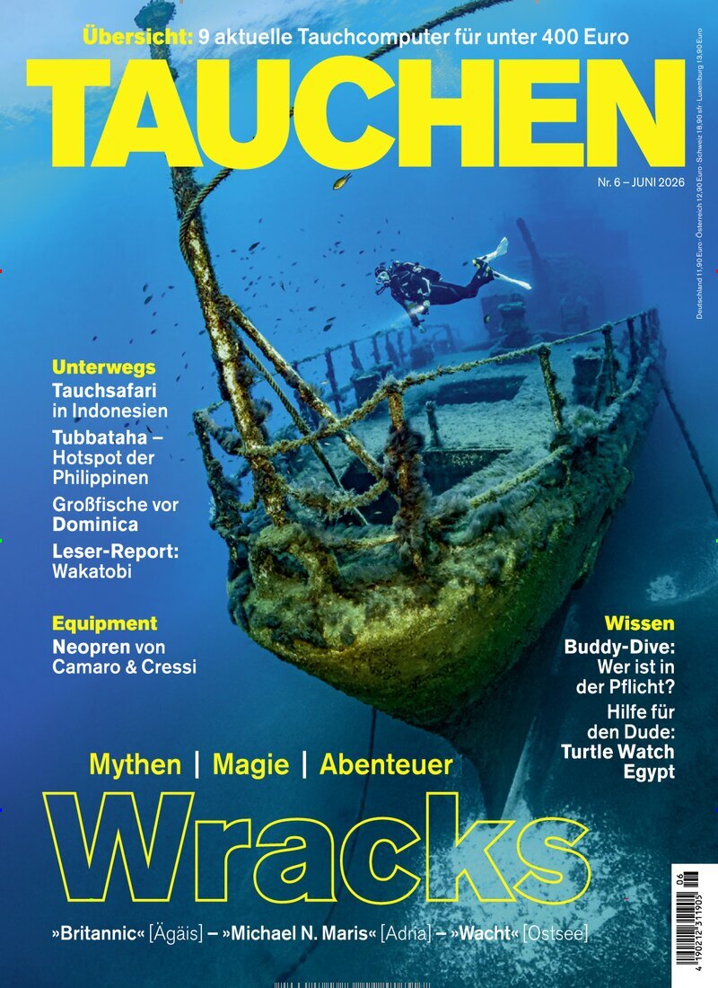Tauchen
