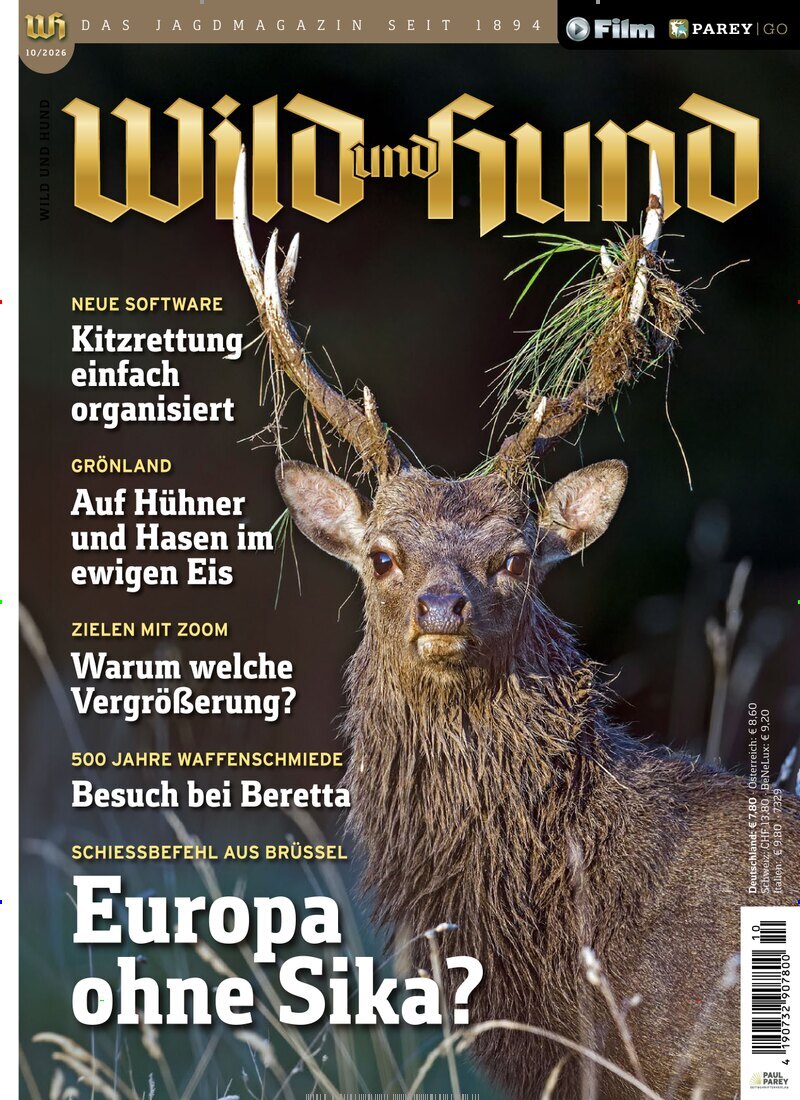 WILD & HUND
