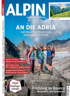 Alpin