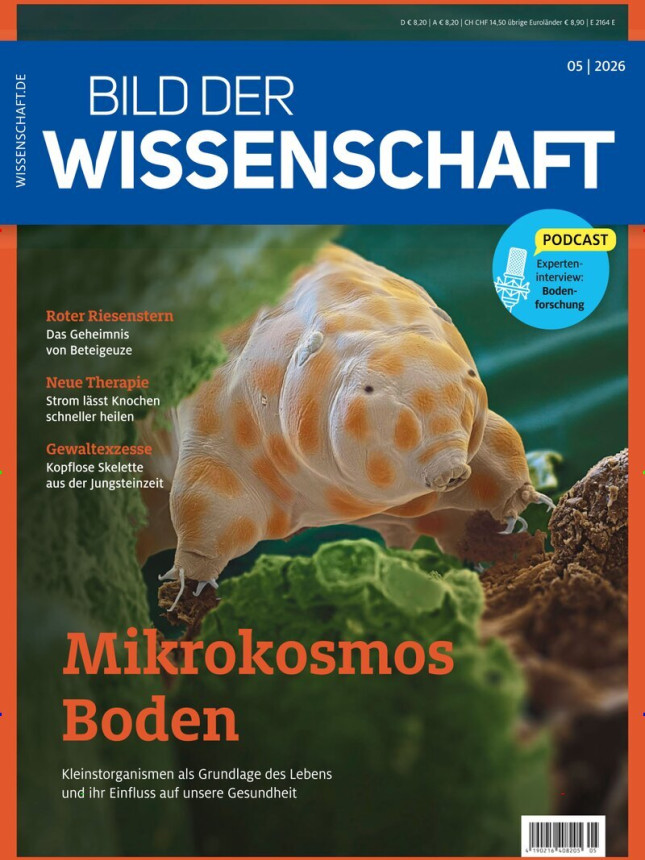 Bild der Wissenschaft