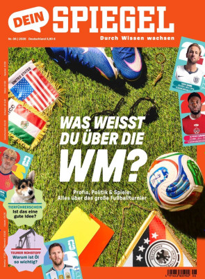 Dein Spiegel
