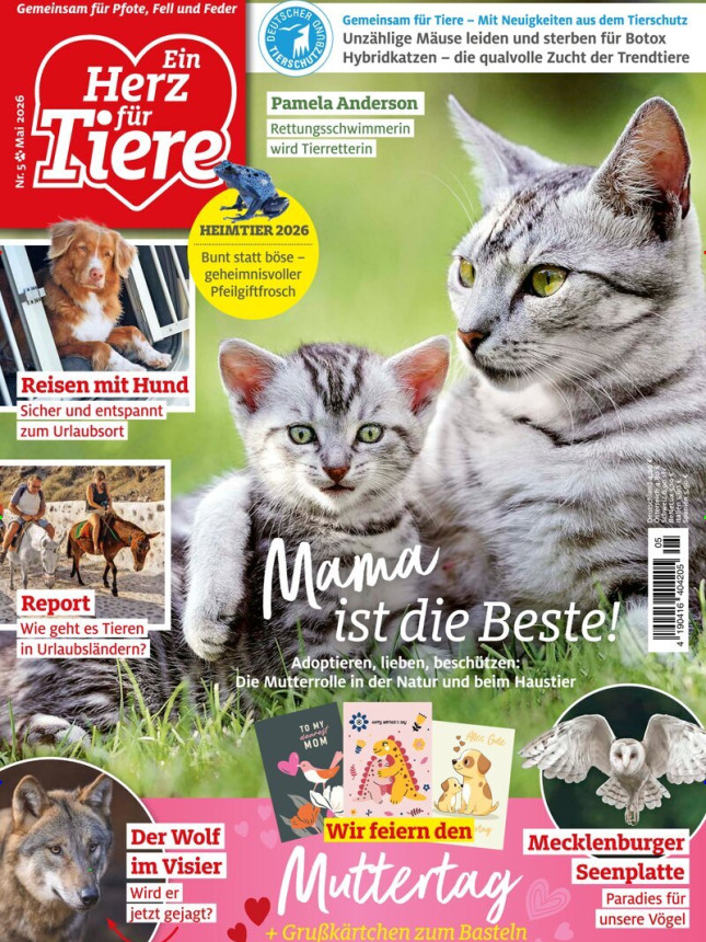 EIN HERZ FÜR TIERE