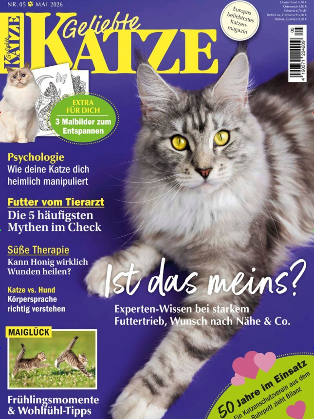 Geliebte Katze