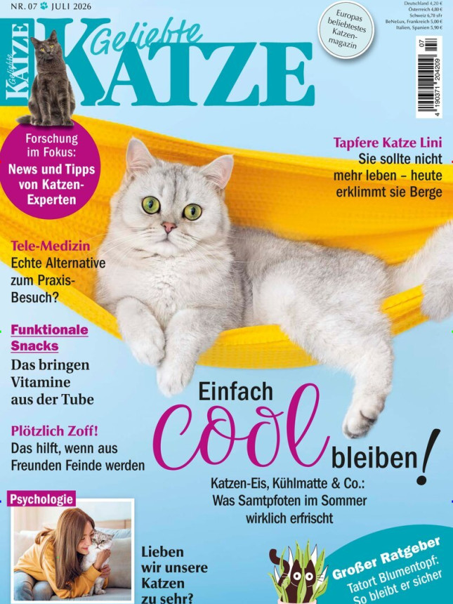 Geliebte Katze