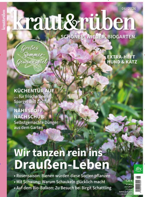 KRAUT & RÜBEN