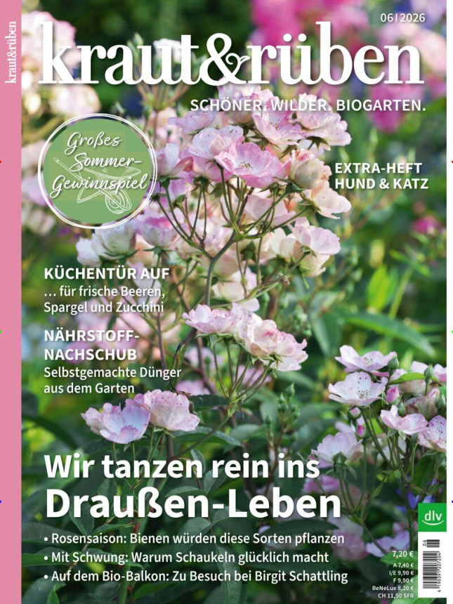KRAUT & RÜBEN