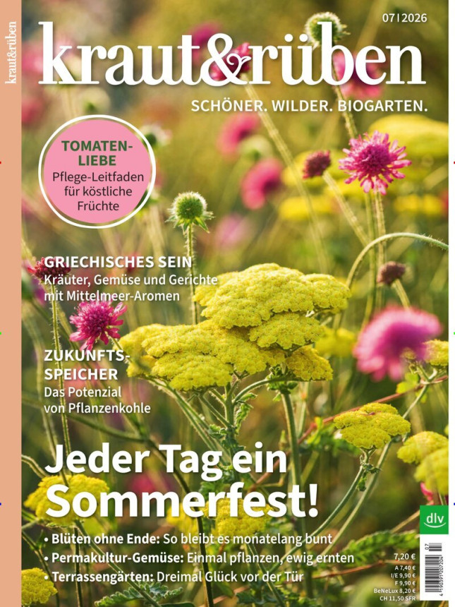 KRAUT & RÜBEN