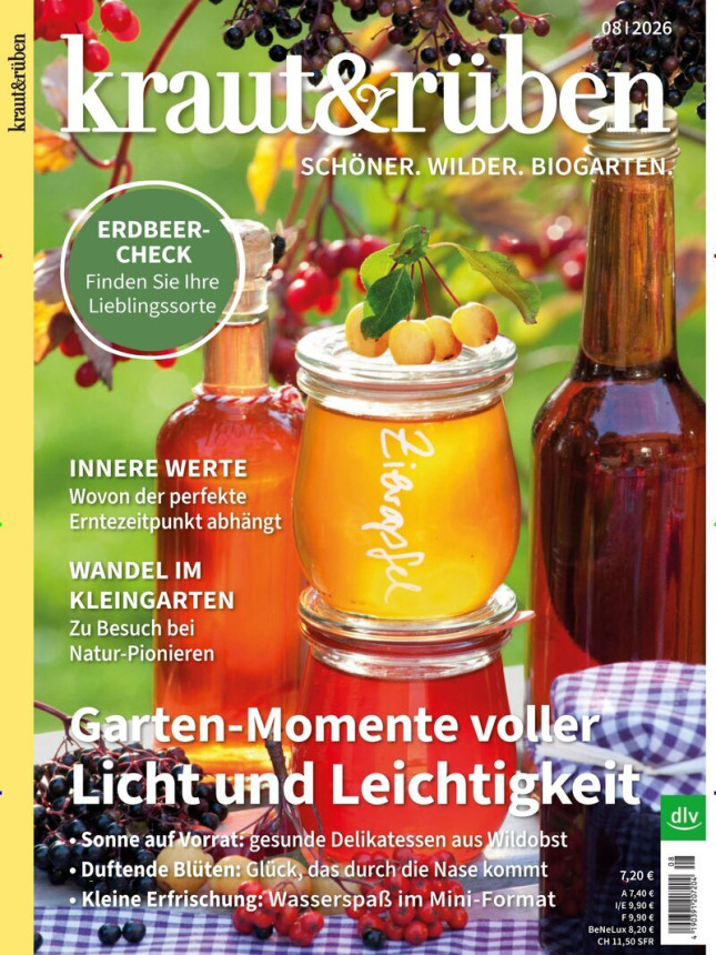 KRAUT & RÜBEN