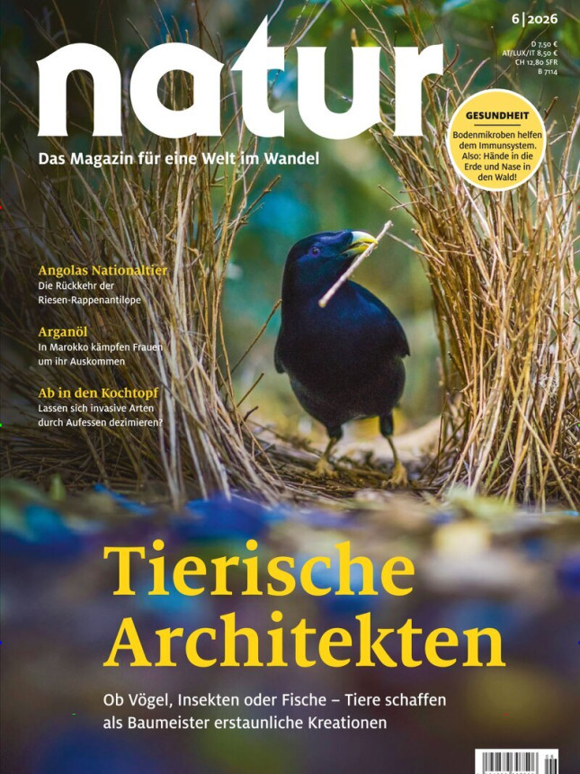 Natur