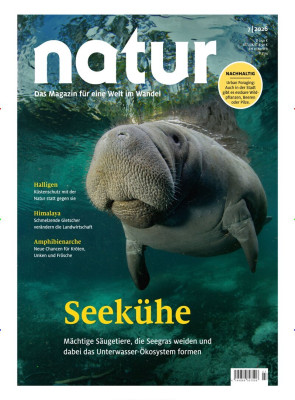 Natur