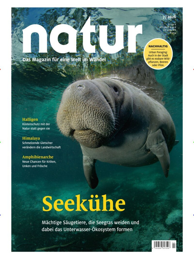 Natur