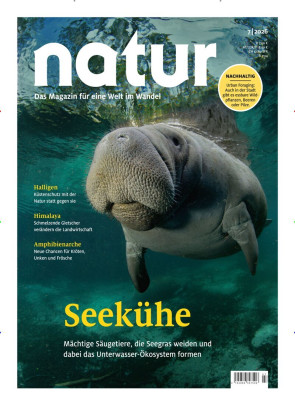Natur