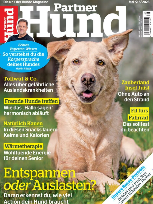 Partner Hund