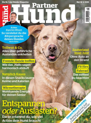 Partner Hund
