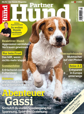 Partner Hund