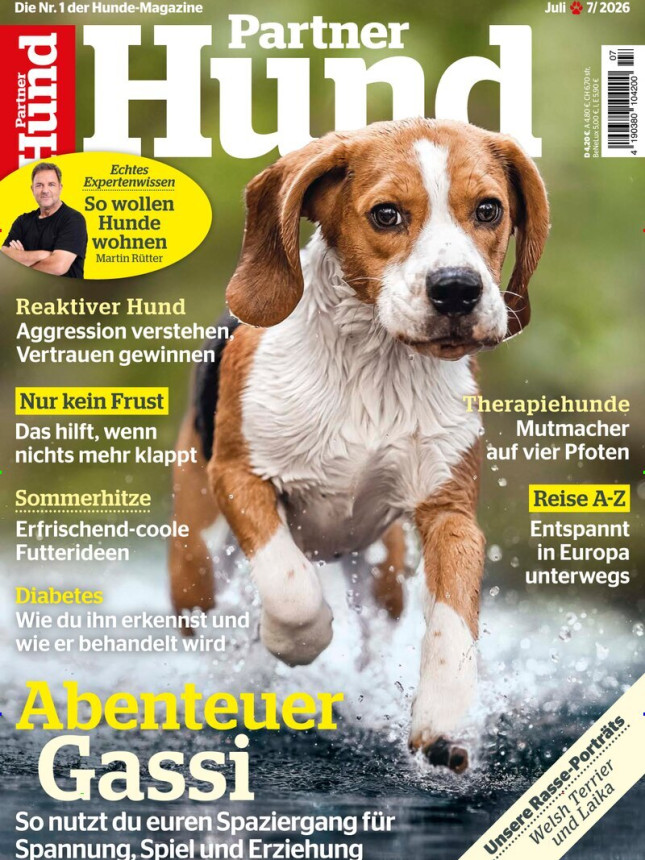 Partner Hund