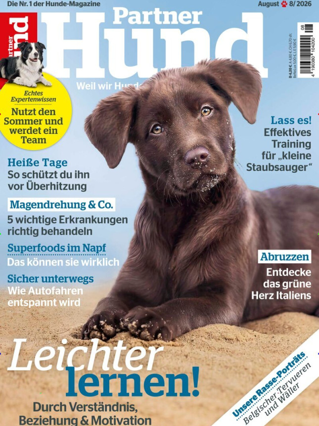 Partner Hund