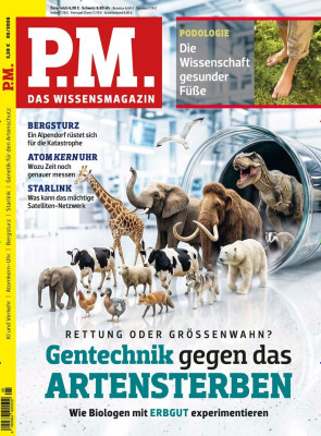 PM Magazin