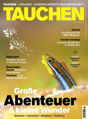 Tauchen