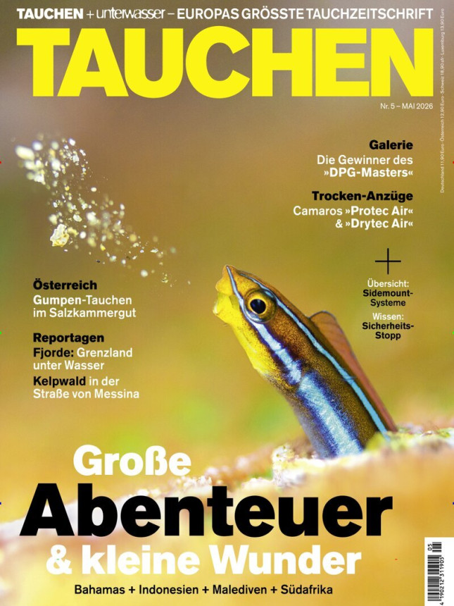 Tauchen