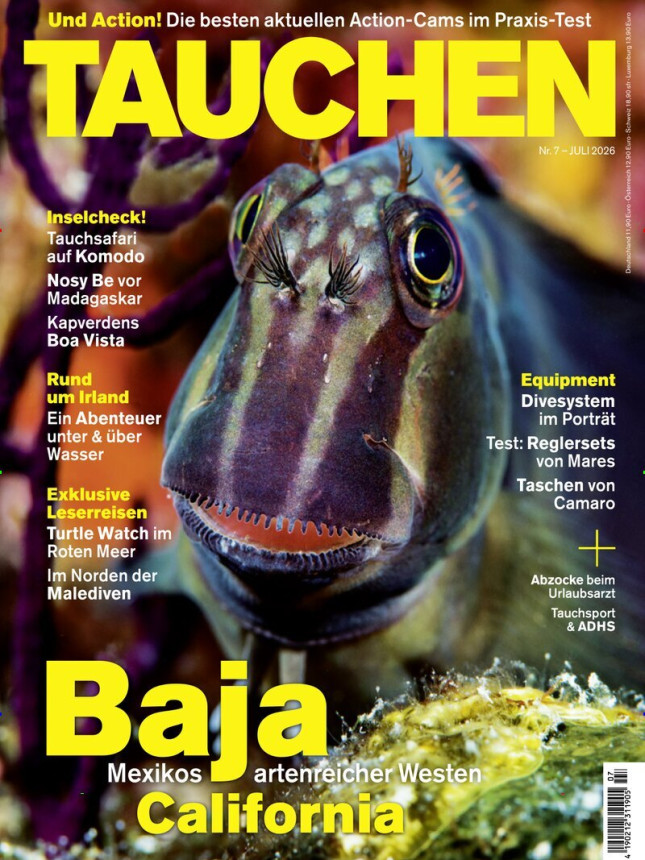 Tauchen