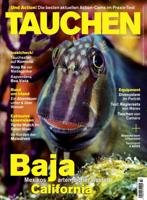 Tauchen