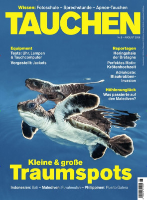 Tauchen
