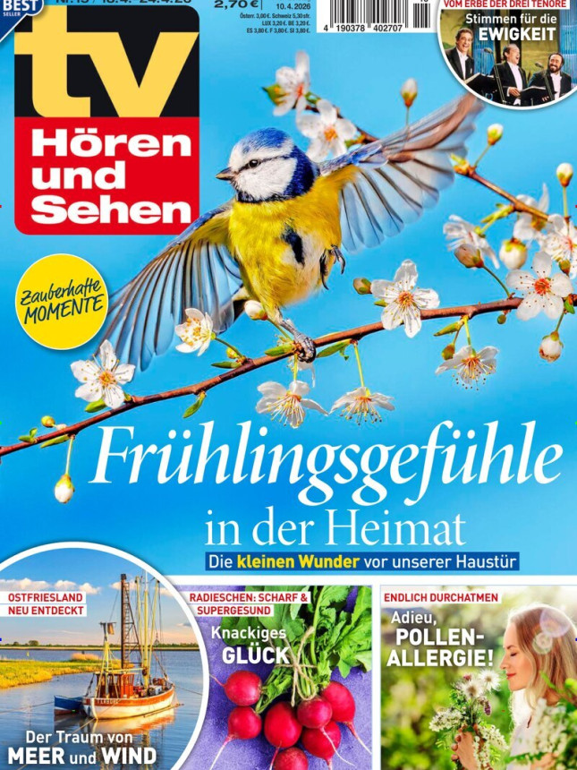 tv Hören und Sehen