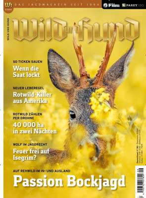 WILD & HUND