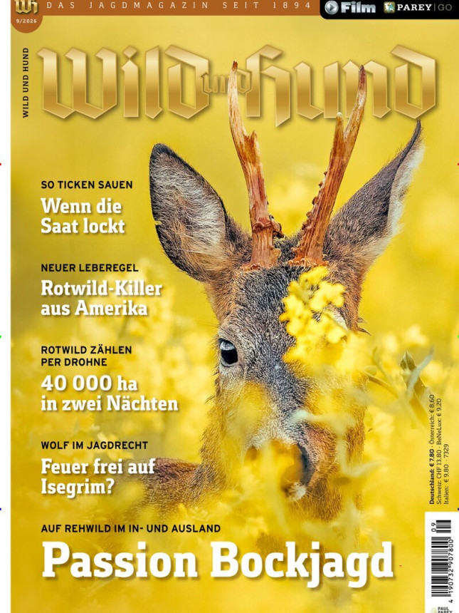 WILD & HUND