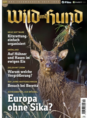 WILD & HUND
