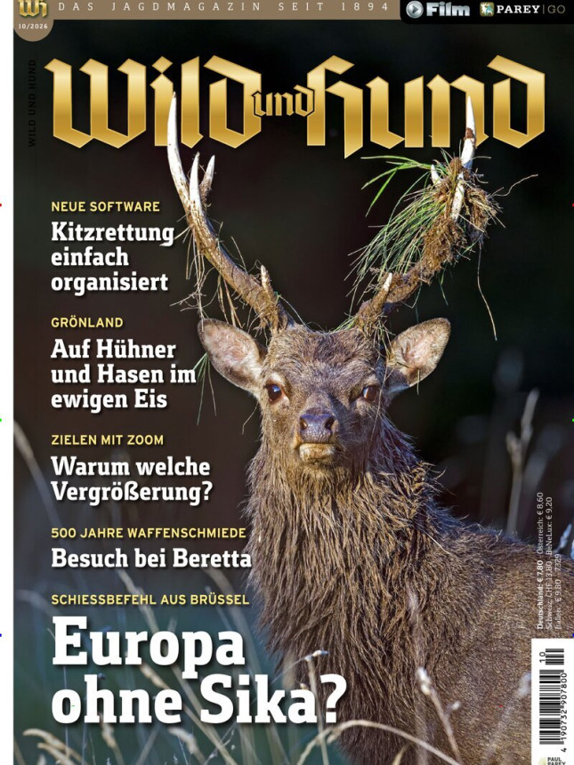 WILD & HUND