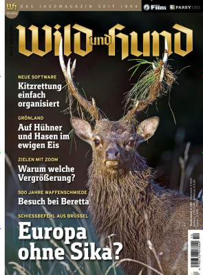 WILD & HUND